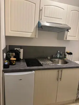 Cuisine ou kitchenette dans l'établissement Studio Élégance