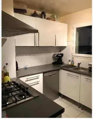 Cuisine ou kitchenette dans l'établissement Bel appartement au centre de PARIS