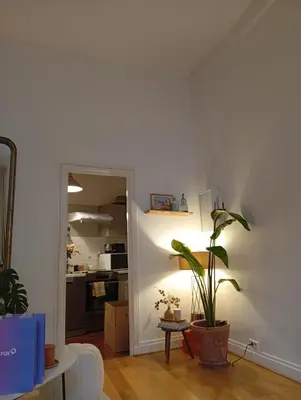 Cuisine ou kitchenette dans l'établissement Beautiful apartments center of Paris