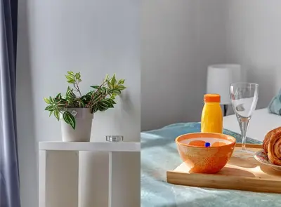 Nourriture dans l'appartement ou à proximité
