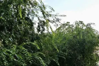 Paysage naturel près de l'appartement