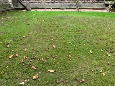 Jardin de l'établissement Havre de paix près de Roland Garros
