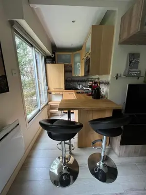 Cuisine ou kitchenette dans l'établissement Havre de paix près de Roland Garros