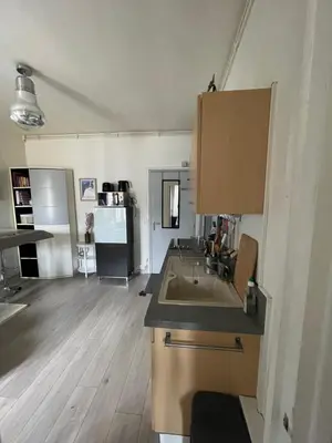 Cuisine ou kitchenette dans l'établissement Eiffel Apartment