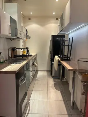 Cuisine ou kitchenette dans l'établissement Appartement lumineux Panthéon