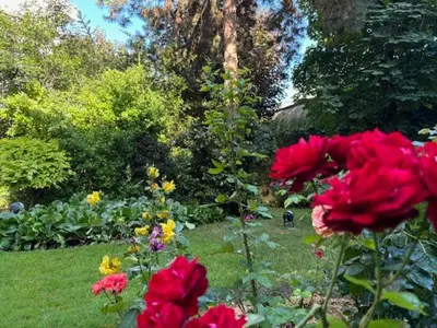Jardin de l'établissement L'écrin du 12- Studio élégant sur jardin avec parking