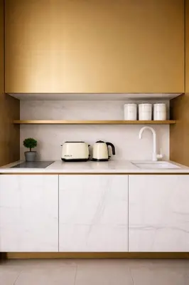 Cuisine ou kitchenette dans l'établissement Studio moderne a Opera