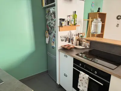 Cuisine ou kitchenette dans l'établissement Parisian Flat - Odeon Theater