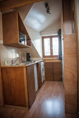 Cuisine ou kitchenette dans l'établissement Charming & bright studio in Marais