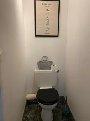 Salle de bains dans l'établissement Magnifique appartement dans quartier très prisé beaugrenelle