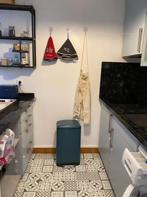 Cuisine ou kitchenette dans l'établissement Magnifique appartement dans quartier très prisé beaugrenelle