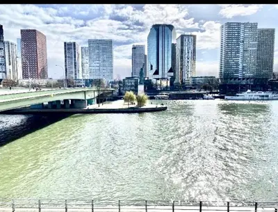 Vue sur la rivière ou le fleuve situé(e) à proximité de l'appartement