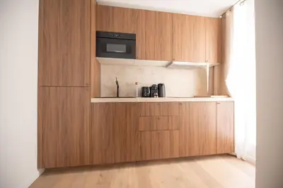 Cuisine ou kitchenette dans l'établissement Brand New Flat in Paris XI