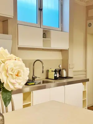 Cuisine ou kitchenette dans l'établissement Celine 24 Le Flandrin Haussmann, Appart spacieux dans le 16e