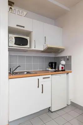 Cuisine ou kitchenette dans l'établissement Appartement Spacieux Face aux Jardins des plantes