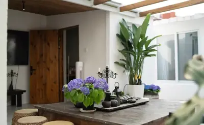 Plan de l'établissement Cozy Studio Paris 14e