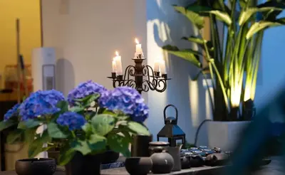 Plan de l'établissement Cozy Studio Paris 14e