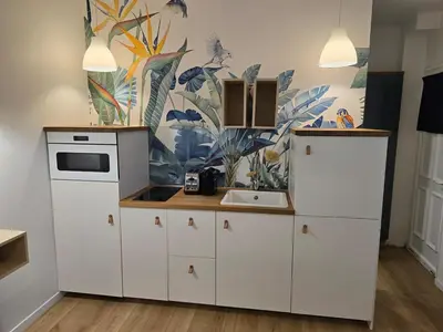 Cuisine ou kitchenette dans l'établissement 340 rue Saint-Jacques Paris V - Studio