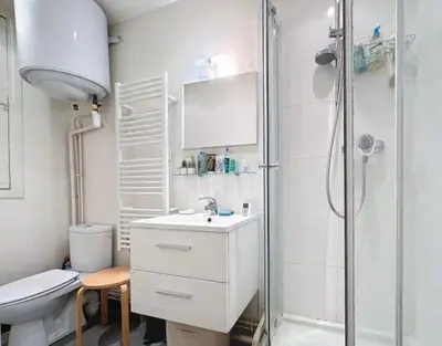 Salle de bains dans l'établissement Notre appartement vue sur les Buttes Chaumont