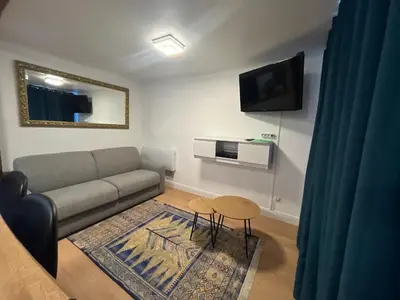 Télévision ou salle de divertissement dans l'établissement Paris Expo Porte de Versailles Malakoff Appart 2 pièce