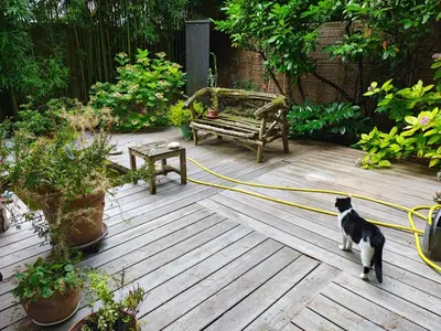 Animal ou animaux domestique(s) séjournant avec des clients dans l'établissement Garden Studio Les Bambous