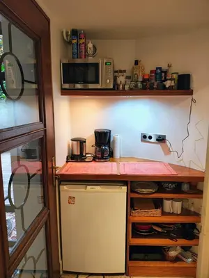 Cuisine ou kitchenette dans l'établissement Garden Studio Les Bambous