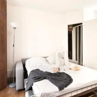 Cocon cosy au cœur de Paris 1BDR