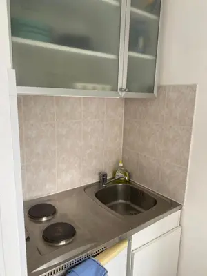 Cuisine ou kitchenette dans l'établissement Petit logement bien placé