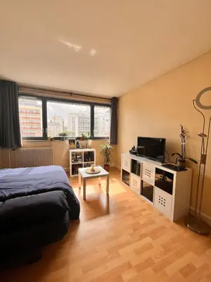 Télévision ou salle de divertissement dans l'établissement Calm, garden view stay near Paris and the Seine