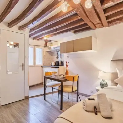 Elegant Studio Center of Paris