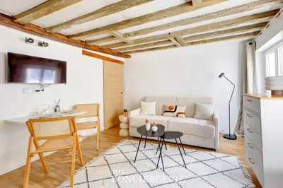 Télévision ou salle de divertissement dans l'établissement Nid elegant dans le Marais historique