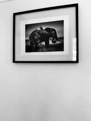 Plan de l'établissement Studio 17ème Batignolles