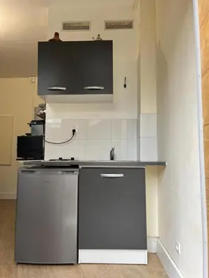 Cuisine ou kitchenette dans l'établissement spacieux appartement Paris Gambetta