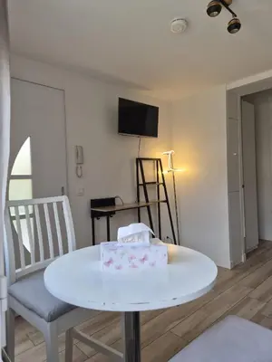 Télévision ou salle de divertissement dans l'établissement Studio à Bagneux avec terrasse privée, parking et climatisation payants