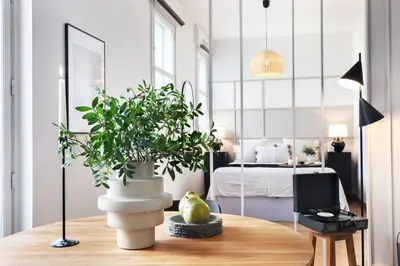 Cuisine ou kitchenette dans l'établissement Sceaux - Studio avec balcon à Porte Dauphine