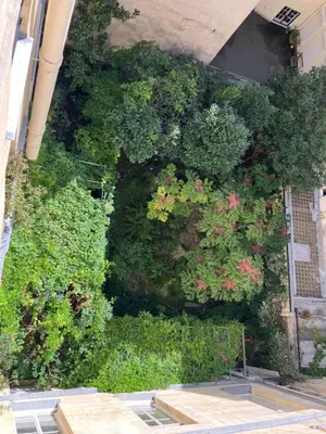 Jardin de l'établissement Charming flat in the heart of Paris