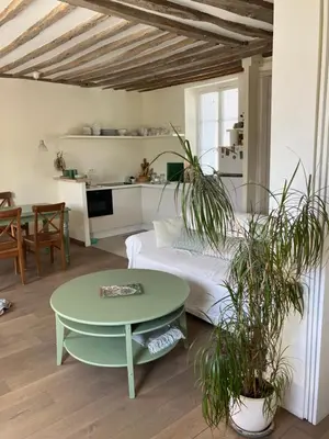 Télévision ou salle de divertissement dans l'établissement Charming flat in the heart of Paris