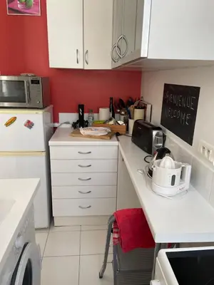 Cuisine ou kitchenette dans l'établissement Appartement typique parisien Paris 15