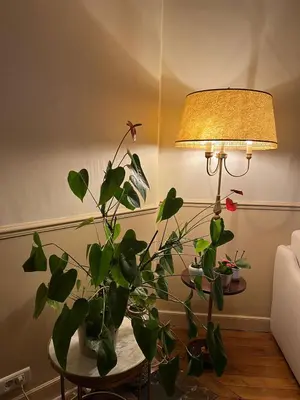 Coin salon dans l'établissement Cosy Appartement