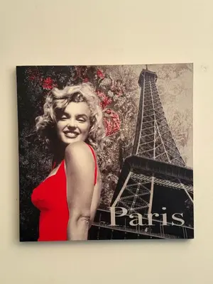 Plan de l'établissement Studio Singer Tour Eiffel La Muette