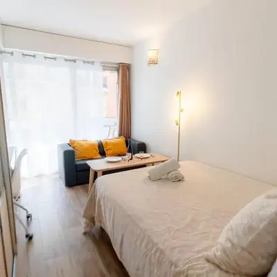 Tour Eiffel - Studio balcon - Paris 16e - Calme