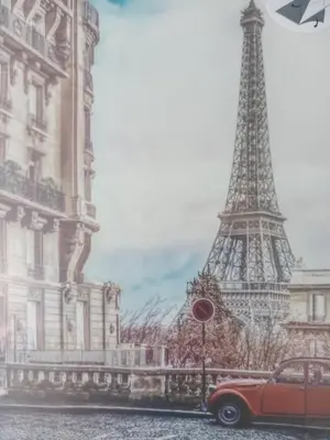 Plan de l'établissement Studio Elysée Miromesnil