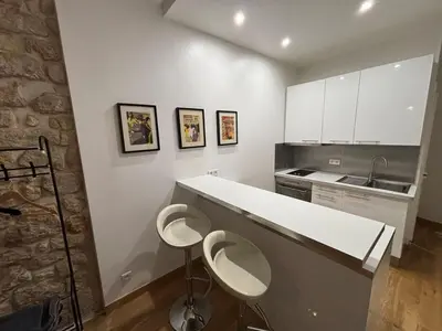Cuisine ou kitchenette dans l'établissement Panthéon studio