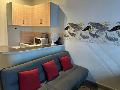 Cuisine ou kitchenette dans l'établissement Studio Elysée Ponthieu