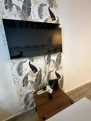 Télévision ou salle de divertissement dans l'établissement Studio Elysée Ponthieu