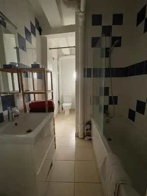 Salle de bains dans l'établissement Parisian apartment with a view