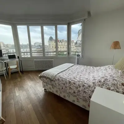 Parisian apartment with a view