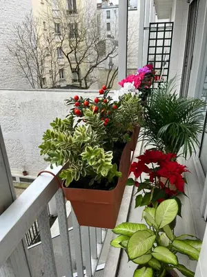 Balcon ou terrasse dans l'établissement Spacious & Cozy 30 m2 Studio near Eiffel Tower