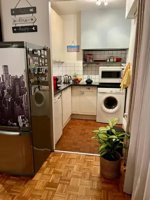 Cuisine ou kitchenette dans l'établissement Spacious & Cozy 30 m2 Studio near Eiffel Tower
