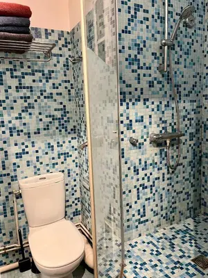 Salle de bains dans l'établissement Spacious & Cozy 30 m2 Studio near Eiffel Tower